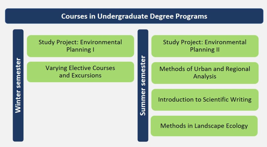 Undergraduate Courses Overview